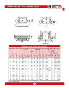 Class 2500 Flanges